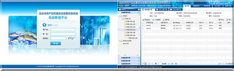 北京市农产品质量安全监管信息系统五个平台系列界面 ui设计